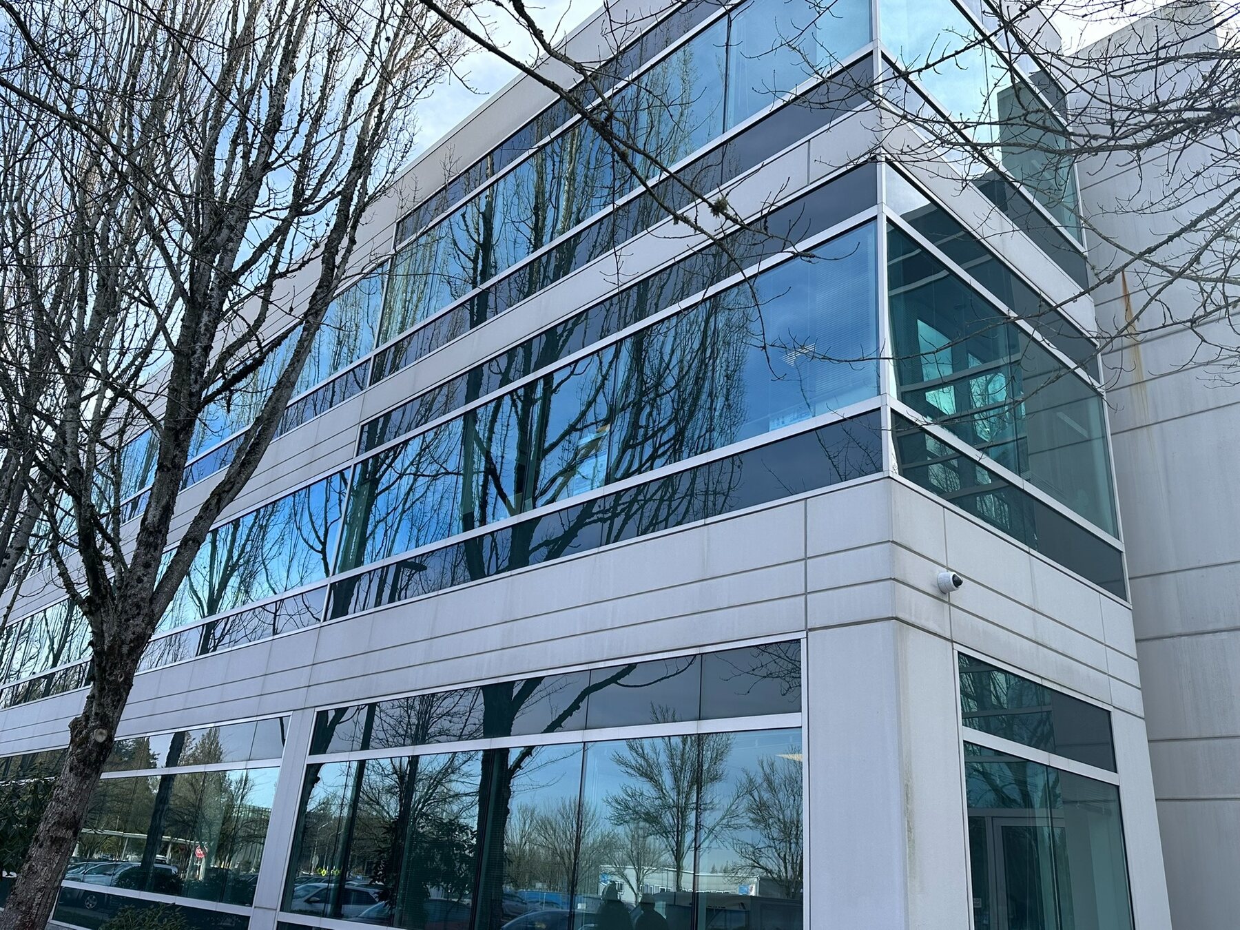 Continuous corner windows reflecting nearby trees and sky